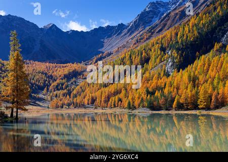 Le lac vert émeraude d'Orceyerette, entouré de mélèze et de pins centenaires, couronné par de hautes crêtes. Banque D'Images