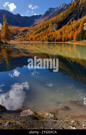 Le lac vert émeraude d'Orceyerette, entouré de mélèze et de pins centenaires, couronné par de hautes crêtes. Banque D'Images