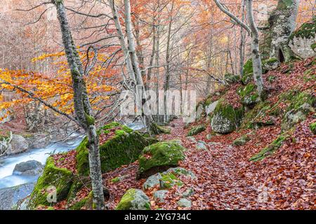 Vallée de Salenques, Parc naturel de Posets-Maladeta, Pyrénées, Huesca, Espagne Banque D'Images