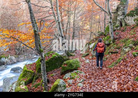 Vallée de Salenques, Parc naturel de Posets-Maladeta, Pyrénées, Huesca, Espagne Banque D'Images