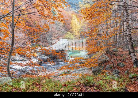 Vallée de Salenques, Parc naturel de Posets-Maladeta, Pyrénées, Huesca, Espagne Banque D'Images