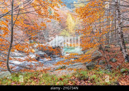 Vallée de Salenques, Parc naturel de Posets-Maladeta, Pyrénées, Huesca, Espagne Banque D'Images