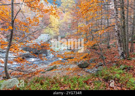 Vallée de Salenques, Parc naturel de Posets-Maladeta, Pyrénées, Huesca, Espagne Banque D'Images