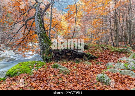 Vallée de Salenques, Parc naturel de Posets-Maladeta, Pyrénées, Huesca, Espagne Banque D'Images