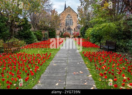 Jour du souvenir affichage crocheté de coquelicots dans le jardin, St Andrew's High Church, Musselburgh, East Lothian, Écosse, Royaume-Uni Banque D'Images