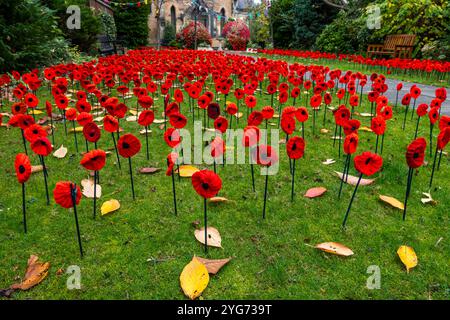 Jour du souvenir affichage crocheté de coquelicots dans le jardin, St Andrew's High Church, Musselburgh, East Lothian, Écosse, Royaume-Uni Banque D'Images