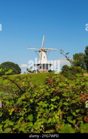 Paysage avec un moulin à vent, à Veere, aux pays-Bas Banque D'Images