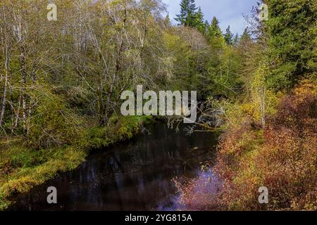 Decker Creek vu depuis Eddy Evers Bridge sur Matlock-Brady Road, Mason County, Washington State, USA Banque D'Images