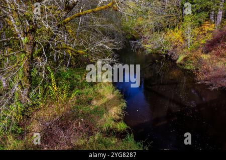 Decker Creek vu depuis Eddy Evers Bridge sur Matlock-Brady Road, Mason County, Washington State, USA Banque D'Images