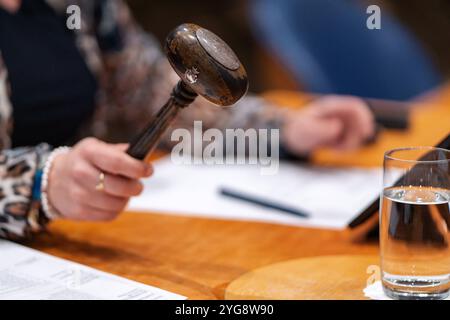 2024-03-20 Néerlandais Tweede Kamer débat plénier DEN HAAG, PAYS-BAS - 20 MARS : le vice-président de la Chambre Roelien Kamminga VVD balançait le marteau pour ouvrir la session pendant le débat plénier à la Tweede Kamer le 20 mars 2024 à Den Haag, pays-Bas Den Haag Tweede Kamer pays-Bas contenu non disponible pour redistribution aux pays-Bas directement ou indirectement par des tiers. Droit d'auteur : xJohnxBeckmannx Banque D'Images