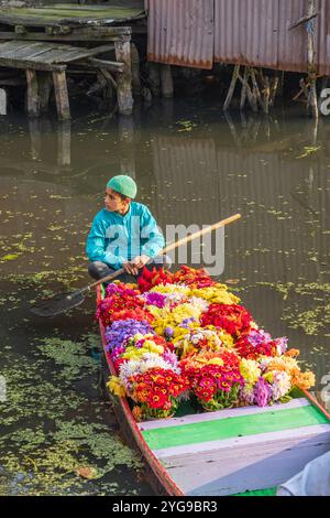 Rainawari, Srinagar, Jammu-et-Cachemire, Inde. Garçon pagayant un bateau transportant des fleurs au lac Dal. Banque D'Images