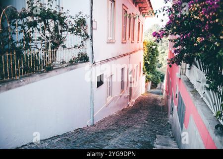 Une étroite ruelle pavée entre des bâtiments de couleur pastel, bordée de murs roses et blancs avec des plantes en fleurs et des clôtures en fer, menant vers le bas Banque D'Images