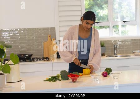 Femme asiatique hachant des légumes dans la cuisine moderne, préparant des repas sains, à la maison Banque D'Images