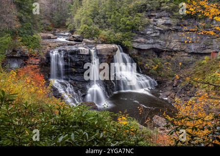 Blackwater Falls en automne, Blackwater Falls State Park, Virginie-occidentale Banque D'Images