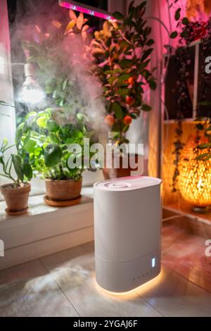 Humidificateur d'air sur le sol à la maison, vapeur illuminée par la lumière de culture, plantes en pot sur le rebord de la fenêtre Banque D'Images