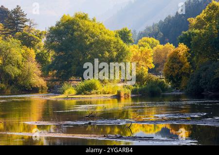 États-Unis, Utah, Logan. Logan Pass Highway 89 étang qui a été créé par un barrage sur la rivière Logan avec des couleurs dorées d'automne reflétées par les cottonwoods Banque D'Images