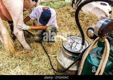 Sao Paulo, Brésil, 30 octobre 2008. Matériel de traite mécanisé en gros plan pour les terres agricoles, au Brésil Banque D'Images