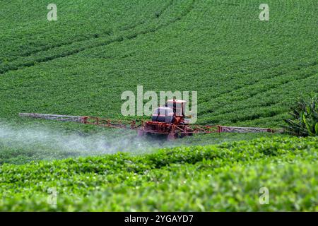 Tracteur pulvérisant de l'engrais ou des pesticides sur le champ de soja avec pulvérisateur au Brésil Banque D'Images