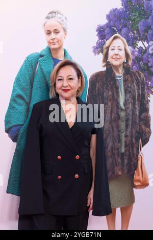 Madrid, Espagne. 06 novembre 2024. Carmen Machi a assisté à la première « Verano en Diciembre » au Capitol Cinema le 6 novembre 2024 à Madrid, en Espagne. Crédit : album/Alamy Live News Banque D'Images