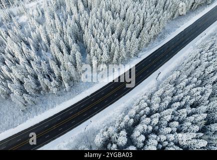 Vue aérienne d'une autoroute à quatre voies à travers une forêt de pins enneigés Banque D'Images