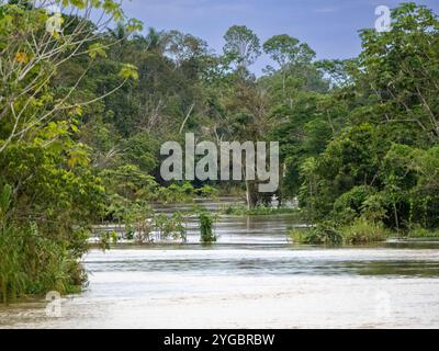 Paysage du fleuve Amazone près de la ville de Manaus. L'Amazonie s'appelle Rio Solimões ici. Banque D'Images