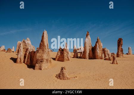 Sable jaune du désert et formations de piliers calcaires altérés dans les Pinnacles, Australie occidentale. Banque D'Images