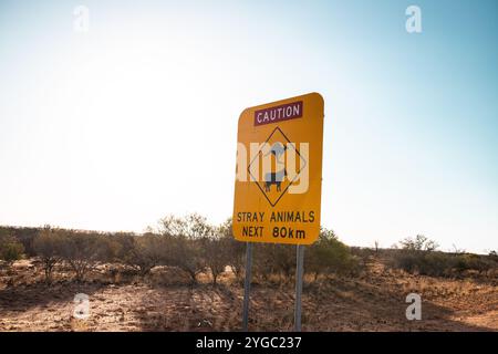 Panneau d'avertissement jaune et rouge dans l'outback de l'Australie occidentale, mettant en garde contre les animaux errants tels que les kangourous et les vaches dans les 80 km à venir Banque D'Images