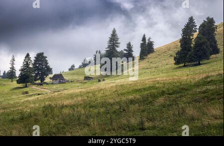 Un paysage rural tranquille dans les Carpates, Pologne, avec une cabane en bois, des collines verdoyantes et de grands pins sous un ciel nuageux. Banque D'Images