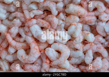 Beaucoup de crevettes congelées pour une utilisation en arrière-plan, gros plan, vue de dessus. Fruits de mer sur le comptoir. Marché aux poissons. Crevettes bouillies pelées Banque D'Images