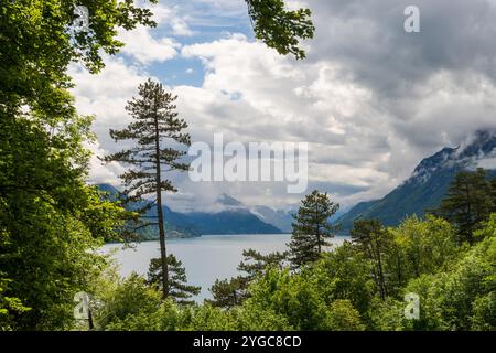 Lac de Brienz juste au nord des Alpes, dans le canton de Berne en Suisse, au printemps Banque D'Images