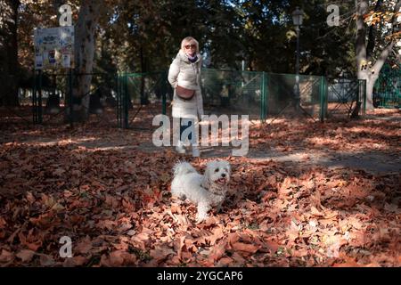 Une femme se promène dans un parc avec son chien, le sol recouvert de feuilles mortes. Banque D'Images