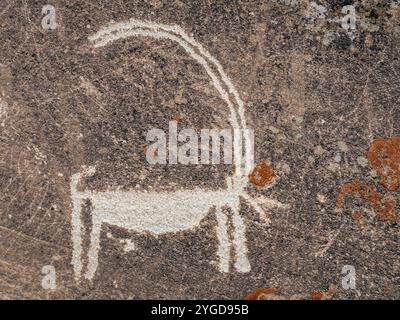 Gros plan de la sculpture antique de bouillie sur la roche : détail du pétroglyphe antique de la route de soie, Langar, couloir de Wakhan, Gorno-Badakhshan, Tadjikistan Pamir Banque D'Images