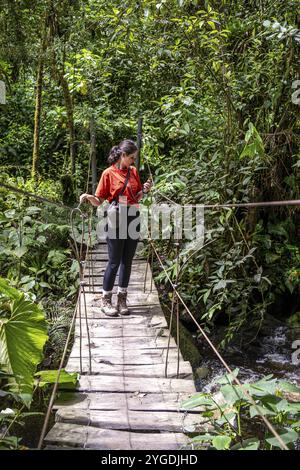 Jeune femme marchant sur un pont suspendu le long du sentier de randonnée de la vallée de Cocora, vallée de Cocora, Salento, Quindio, Colombie, Amérique du Sud Banque D'Images