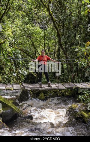 Jeune femme marchant sur un pont suspendu le long du sentier de randonnée de la vallée de Cocora, vallée de Cocora, Salento, Quindio, Colombie, Amérique du Sud Banque D'Images