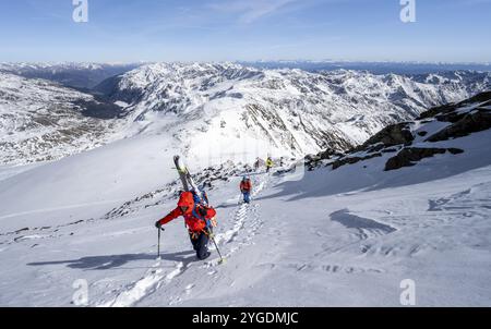 Randonneur de ski à pied, portant des skis sur sac à dos, panorama de montagne, paysage de montagne enneigé en hiver, tour en hauteur, ascension vers Monte Cevedale, Ortl Banque D'Images