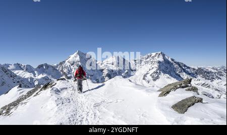 Randonneurs de ski à pied, panorama de montagne avec paysage de montagne enneigé en hiver, vue sur les sommets Koenigsspitze, Monte Zebru et Ortler, s. Banque D'Images