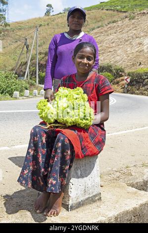 Fille sri-lankaise et sa mère vendant de la laitue dans la rue, Nuwara Eliya, Province centrale, Sri Lanka, Asie Banque D'Images