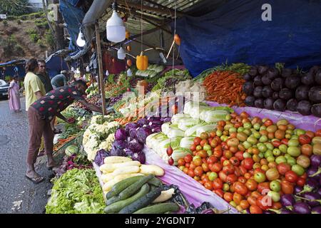 Stalle de légumes à Nuwara Eliya, Province centrale, Sri Lanka, Asie Banque D'Images