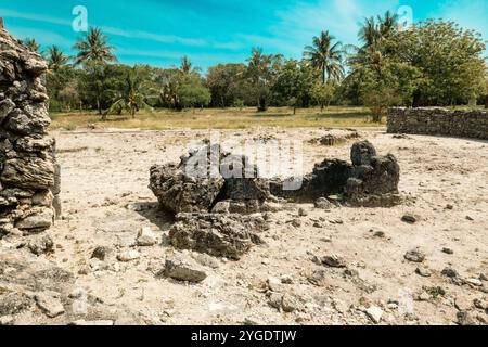 Vue des ruines faites de pierres de Corol à Kaole Ruins - un poste de traite du 13ème siècle et fort colonial allemand à Bagamoyo, Tanzanie Banque D'Images