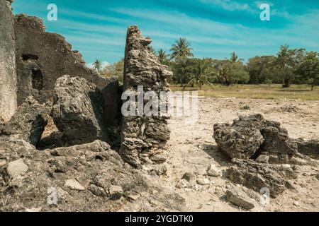 Vue des ruines faites de pierres de Corol à Kaole Ruins - un poste de traite du 13ème siècle et fort colonial allemand à Bagamoyo, Tanzanie Banque D'Images