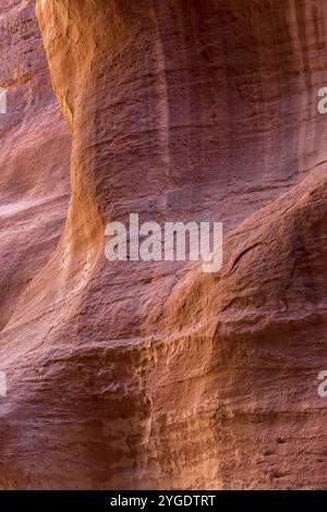 Le Siq, arrière-plan étroit de texture de paroi de canyon rouge à Petra, Jordanie, site du patrimoine mondial de l'UNESCO, Asie Banque D'Images