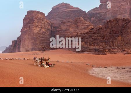 Les chameaux reposent sur le sable dans le désert de Wadi Rum, en Jordanie. Paysage de rochers de grès Banque D'Images