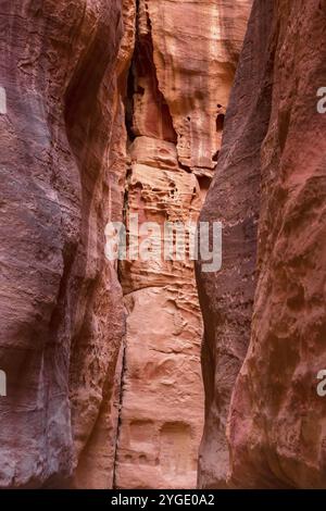 Le Siq, arrière-plan étroit de texture de paroi de canyon rouge à Petra, Jordanie, site du patrimoine mondial de l'UNESCO, Asie Banque D'Images