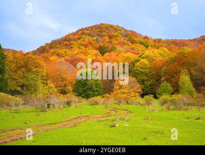 Mont Autore Livata, Italie - feuillage automnal dans les montagnes de la province de Roma, Simbruini monts parc naturel. Voici une vue avec un bel automne Banque D'Images