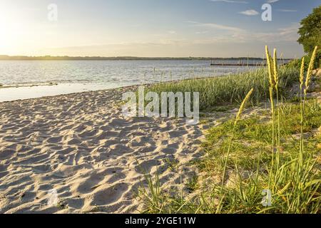 Coucher de soleil sur une plage tranquille à Gluecksburg sur le fjord de Flensburg dans le nord de l'Allemagne Banque D'Images