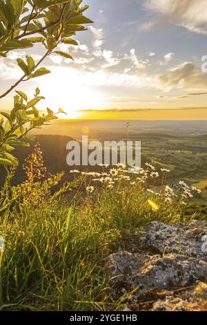 Coucher de soleil spectaculaire sur un bord de roche pittoresque avec de belles fleurs dans les Alpes souabes, dans le sud de l'Allemagne Banque D'Images