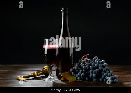 Bouteille et verre de vin rouge Lambrusco avec des grappes de raisins en gros plan Banque D'Images