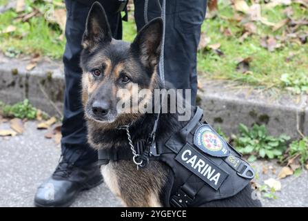 Zagreb, Croatie. 07 novembre 2024. Des membres de la police des frontières croate sont vus lors d'un exercice contre le commerce illégal de produits du tabac au poste frontière de Bregana près de Zagreb, Croatie, le 7 novembre 2024. Photo : Robert Anic/PIXSELL crédit : Pixsell/Alamy Live News Banque D'Images