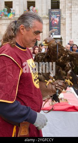 Un manipulateur d'oiseaux en costume médiéval avec un aigle doré Aquila chrysaetos lors d'une exposition d'oiseaux de proie à El CID fiestas Burgos Espagne Banque D'Images