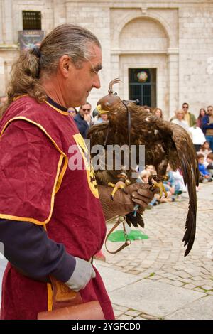 Un manipulateur d'oiseaux en costume médiéval avec un aigle doré Aquila chrysaetos lors d'une exposition d'oiseaux de proie à El CID fiestas Burgos Espagne Banque D'Images